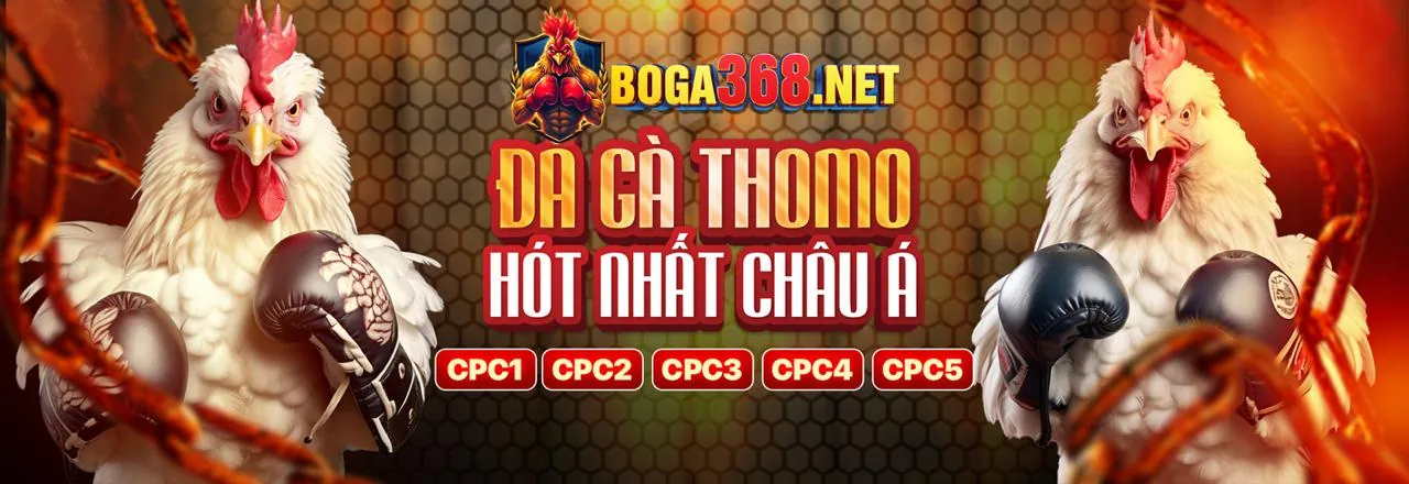 Xổ số & Keno btw6 nhà cái